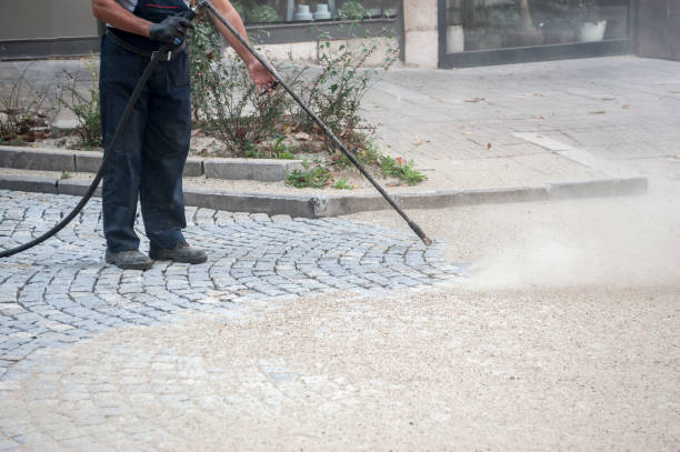 Best Pre-Holiday Cleaning  in Brookston, IN